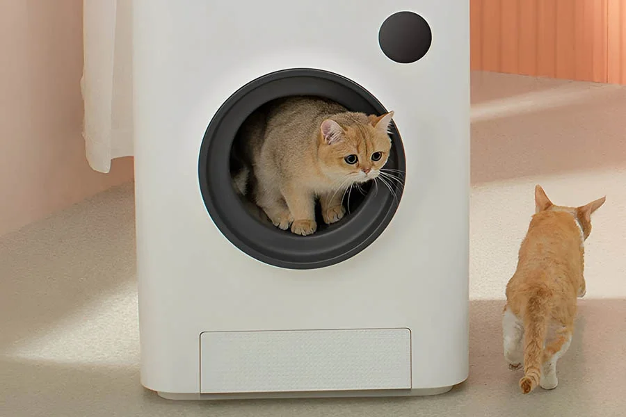 best litter boxes for large cats