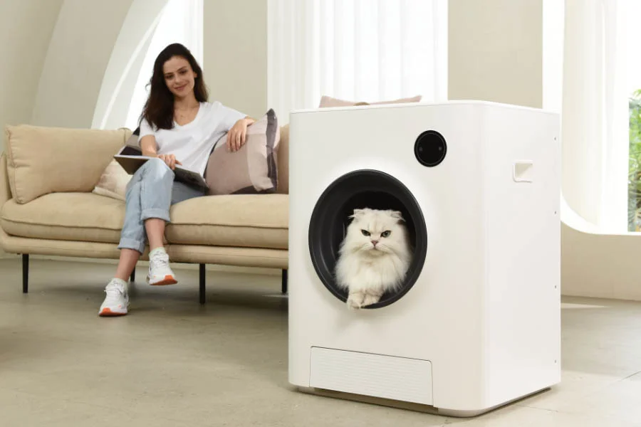 best no smell cat litter box