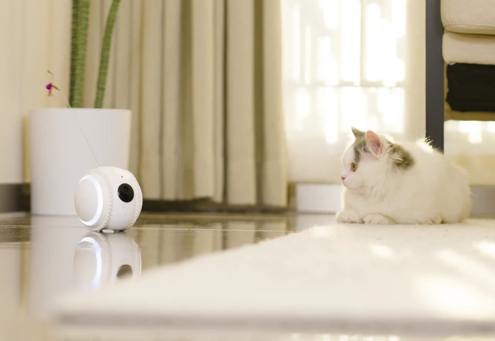 best indoor camera to watch pets