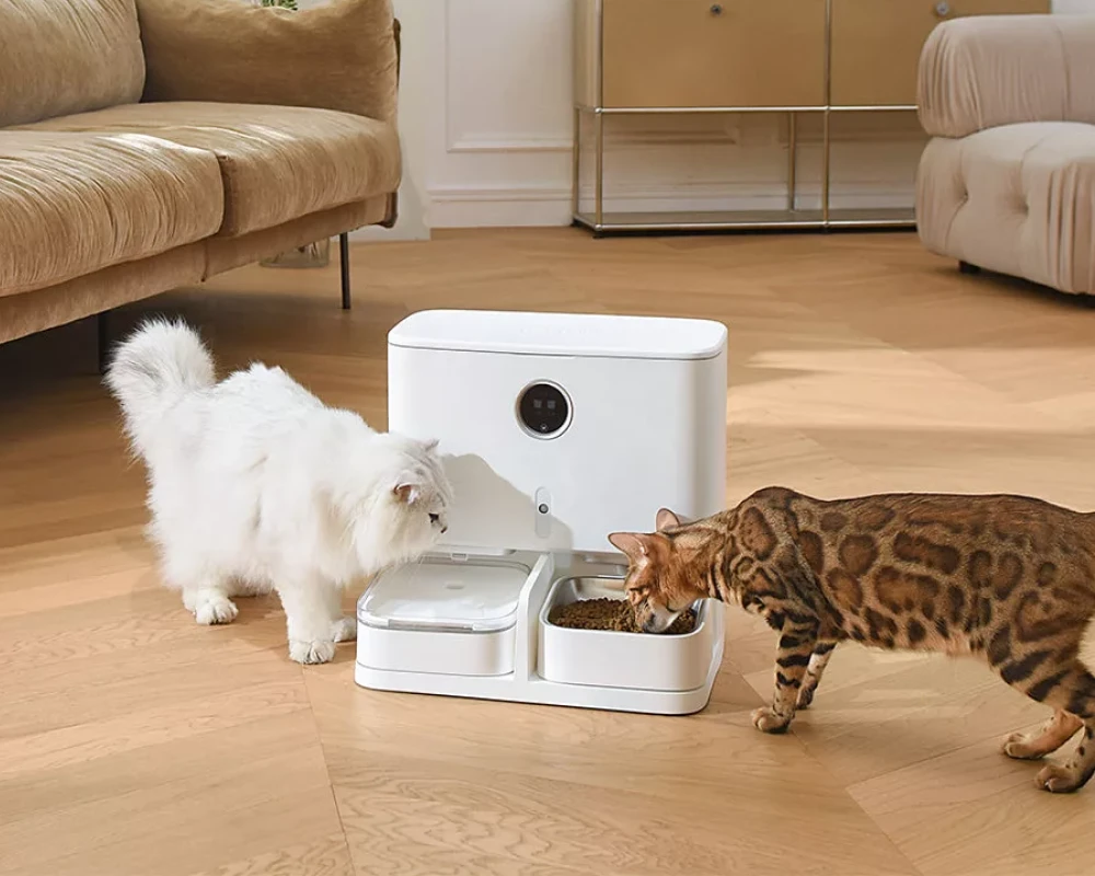 automatic pet feeder for two cats