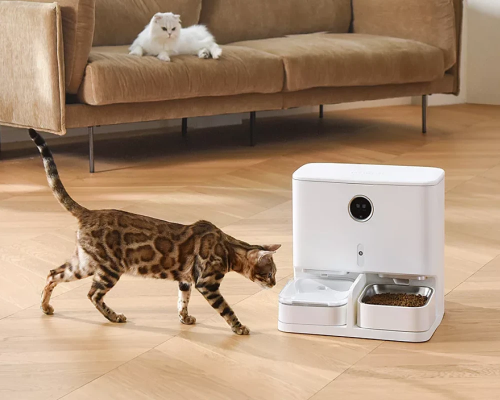 automatic pet feeder for two cats