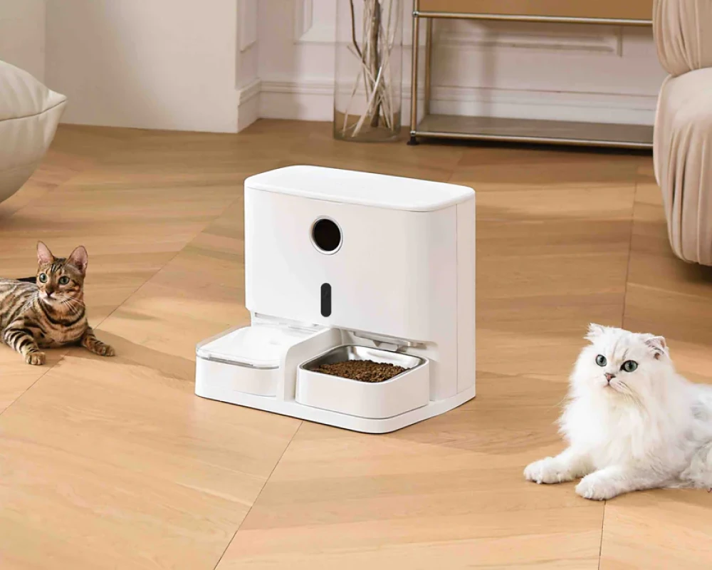 best automatic dog feeder