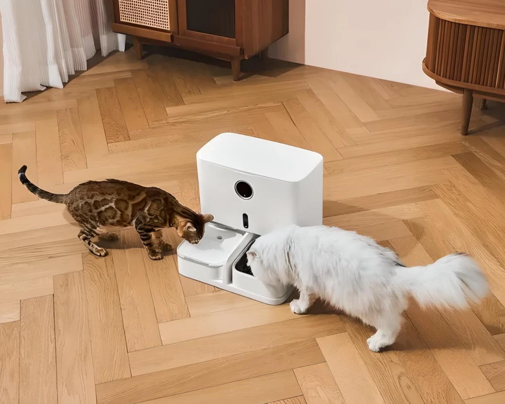 best automatic dog feeder